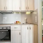 Anius Plintri