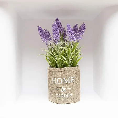 Anius شقة فندقية Plintri