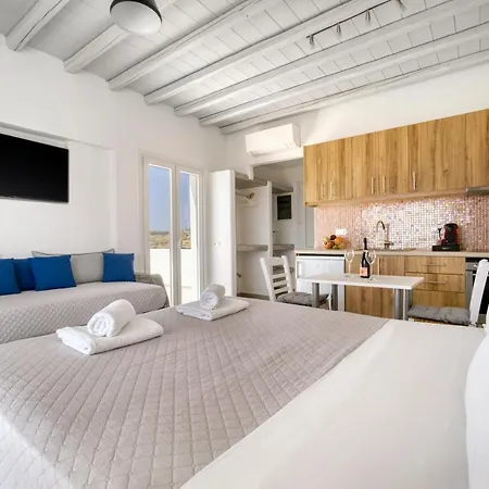 شقة فندقية Anius