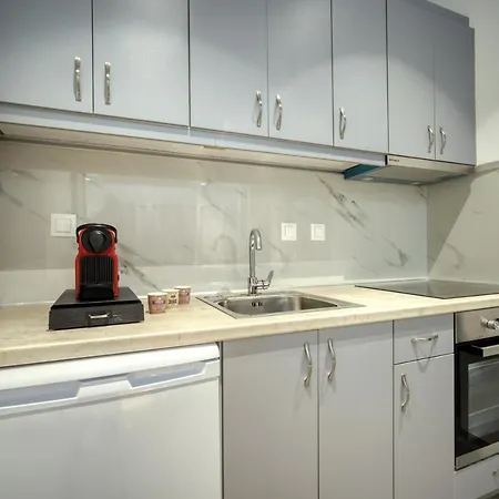 公寓式酒店 Anius