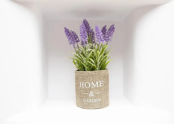 Anius Lägenhetshotell Plintri